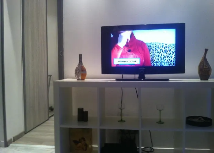Appartement Les Palmiers